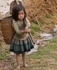 Child Labour